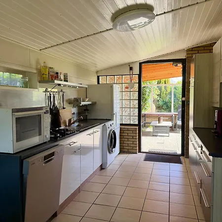 De Stormvogel * 朱丽安娜多普