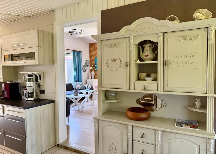 De Stormvogel * 朱丽安娜多普