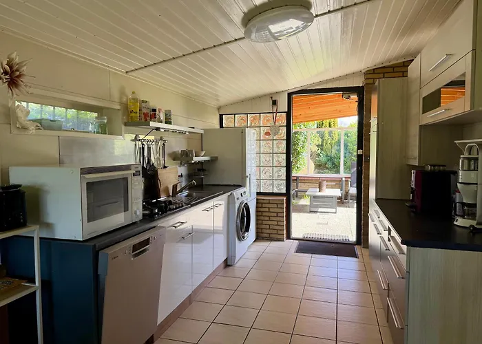 De Stormvogel * 朱丽安娜多普