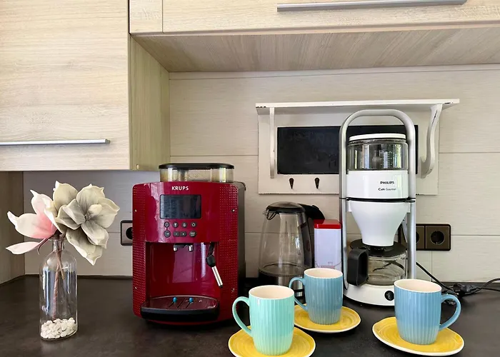 De Stormvogel * 朱丽安娜多普