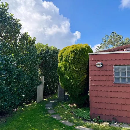 De Stormvogel